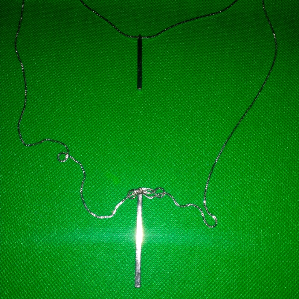 Charming Charlie Double Bar Necklace
